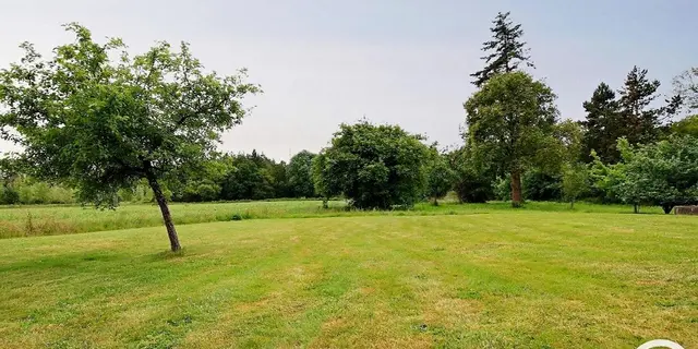 Gîte - Buis - Bréhaut - Taupont - Brocéliande - Morbihan - Bretagne