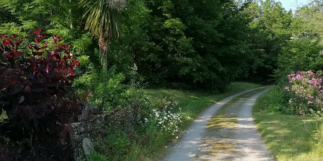 Petit-Kirdi-Clos-Ploërmel-Destination-Brocéliande-Morbihan-Bretagne