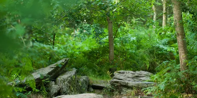Tombeau du Géant