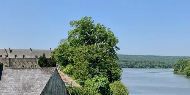 vue-sur-l-etang-et-l-abbaye-de-paimpont-maison-des-legendes---1