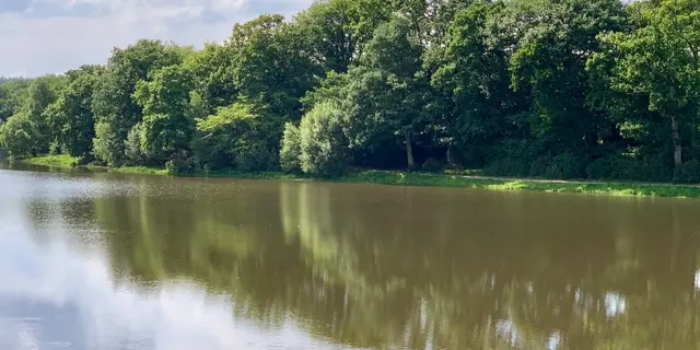 vue-sur-l-etang-maison-des-legendes-paimpont---2