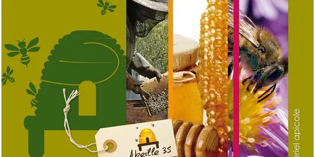 Abeille35-1
