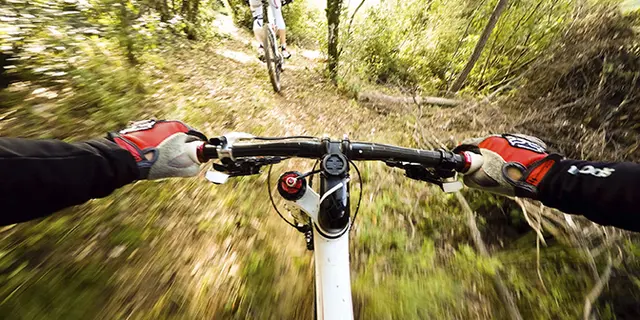 guidando la bicicletta nel bosco. coppia di ciclisti