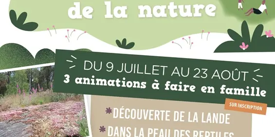 Affiche_animations_découverte_natureOK