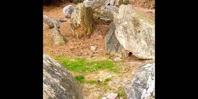 Allée couverte de Grand Village - Caro - Morbihan - Bretagne