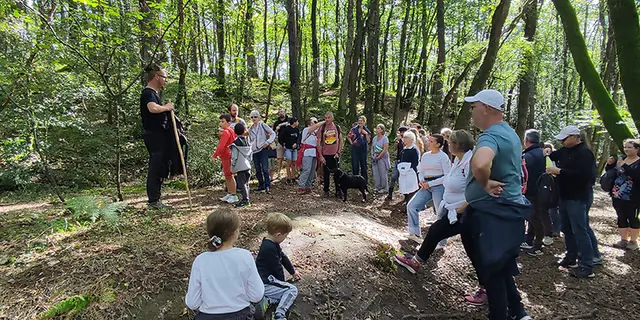 Balade contée Sur les Traces de Merlin - ALQ OT Paimpont Format WEB 2
