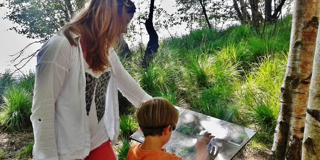 Balade avec des enfants autour du Lac de Trémelin Iffendic Brocéliande Bretagne