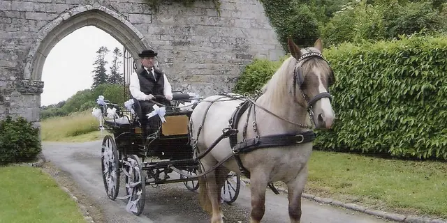 Balade en calèche Fordos mariage - Sérent Lizio - Morbihan - Bretagne
