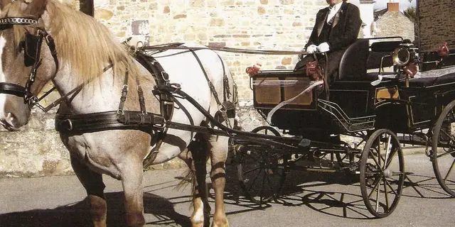 Balade en calèche Fordos mariage - Sérent Lizio - Morbihan - Bretagne