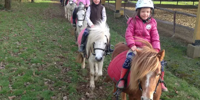 Balades poneys St Marcel Malestroit - Morbihan