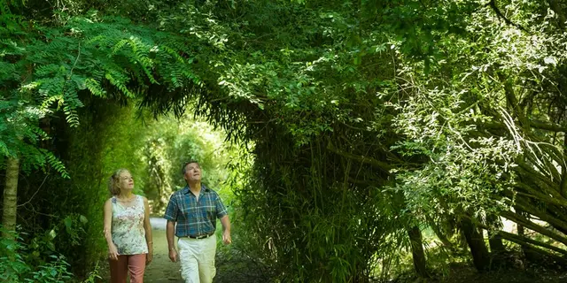 Jardin du Bois d'Amour - Josselin - Morbihan - Bretagne