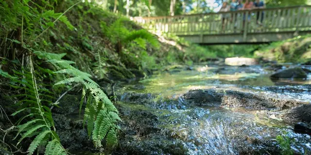 Jardin du Bois d'Amour - Josselin - Morbihan - Bretagne