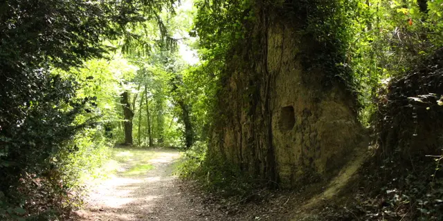 Buttes de la Hautiere Muel