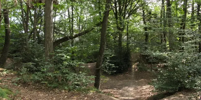 Buttes de la Hautiere Muel