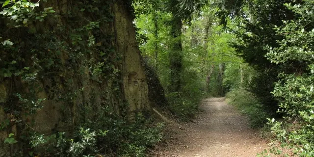 Buttes de la Hautiere Muel