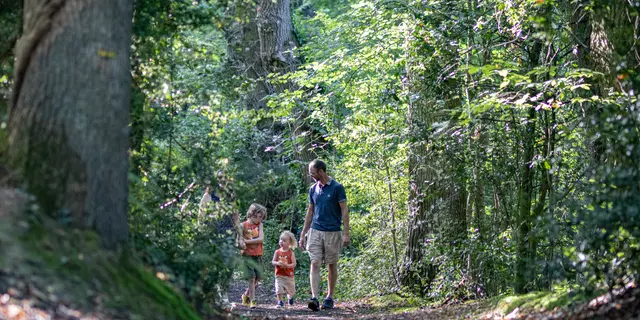Buttes de la Hautière Muël