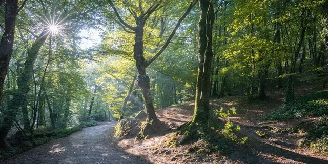 Val-sans-retour_legende_Morgane_Tréhorenteuc_Paimpont_DestinationBrocéliande