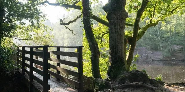 Val-sans-retour_Miroir-aux-fées_Tréhorenteuc_Paimpont_DestinationBrocéliande