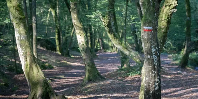 Val-sans-retour_Tréhorenteuc_Paimpont_DestinationBrocéliande