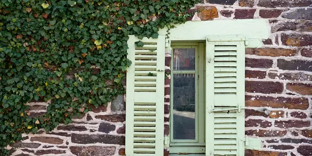 schiste_pourpre_village_Brocéliande_Morbihan