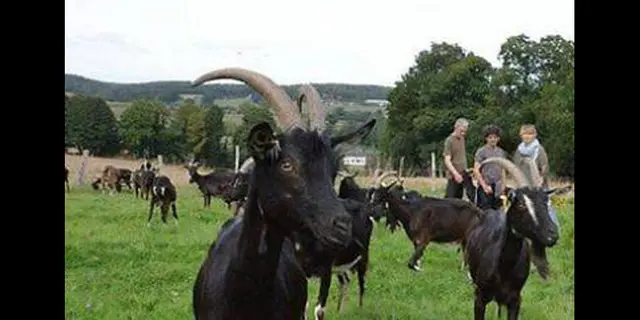Catherine Pautret - Producteurs locaux - Bohal - Morbihan