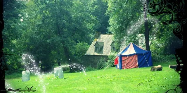 Camp du dragon gîte bonne année