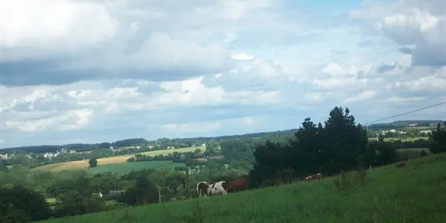 Roulotte-la-Houssaie - Sérent - Brocéliande