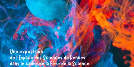 Exposition Intelligences , différentes par nature