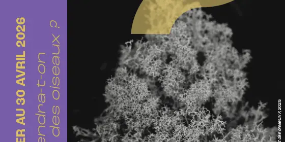 Exposition Se souviendra-t-on du chant des oiseaux ?