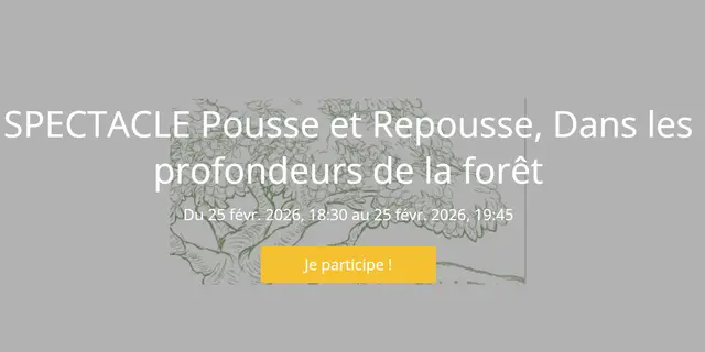 Spectacle Pousse et Repousse, Dans les profondeurs de la forêt
