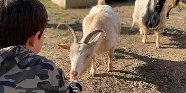 Tousàlaferme_Mauron_DestinationBrocéliande