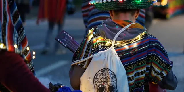 Carnaval nocturne - char - fête - Ploërmel - Bretagne