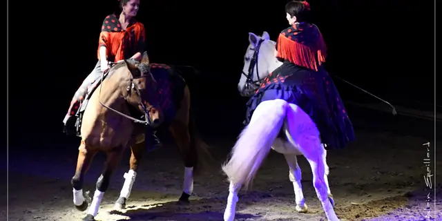 Cabaret équestre Les chevaux dansent à la bodega