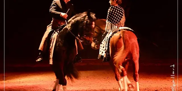 Cabaret équestre Les chevaux dansent à la bodega