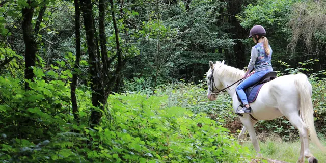 Balade équestre Brocéliande