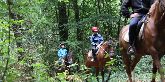 Circuit équestre en forêt