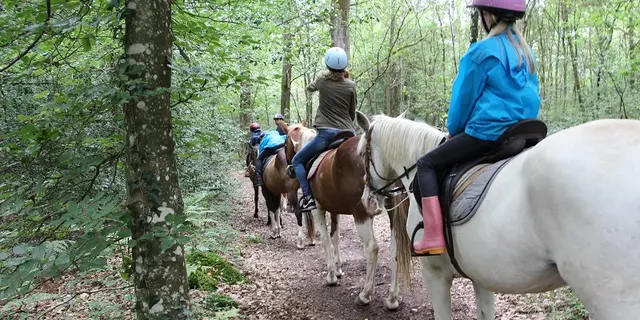 Centre equestre du lac de Tremelin
