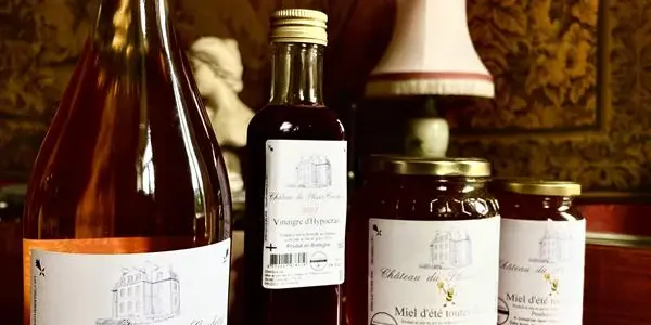 Chateau du plessis coudray