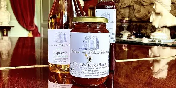 Chateau du plessis coudray