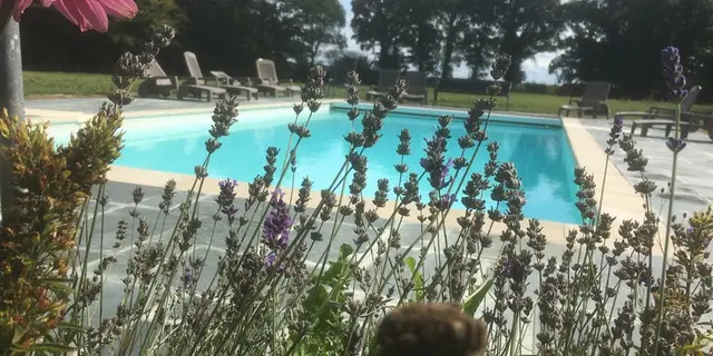 Château de la Ville Voisin_2 - Augan - Broceliande-Bretagne