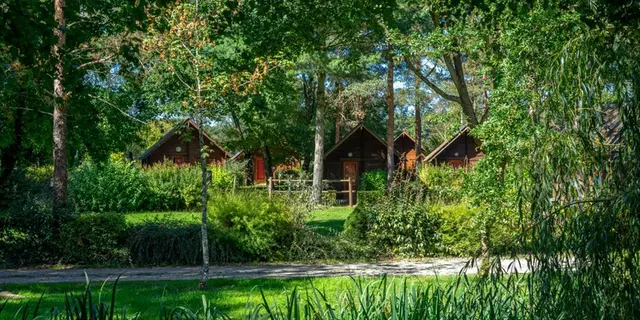 Chalets - Copie