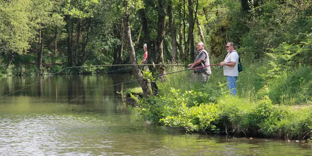 Pêche au vallon de la Chambre au loup Iffendic