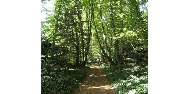 Chambres d'hôtes-Ville Voisin-Augan-Brocéliande-Bretagne