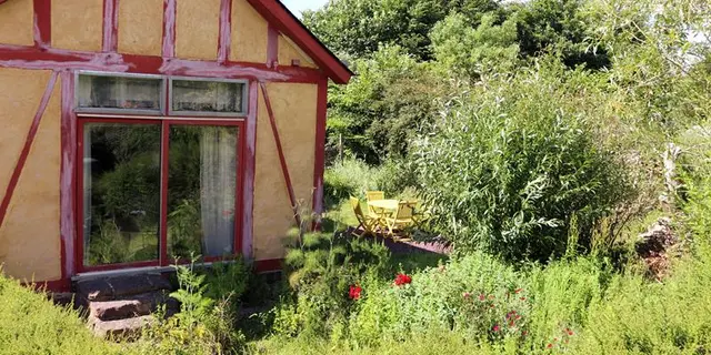 Chélidoine jardin