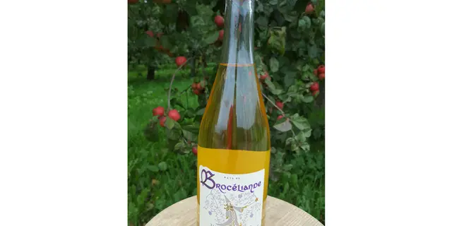 Cidre de Brocéliande. (1)