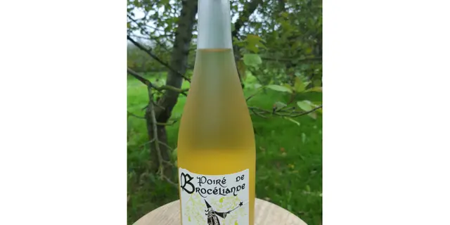Cidre de Brocéliande. (2)