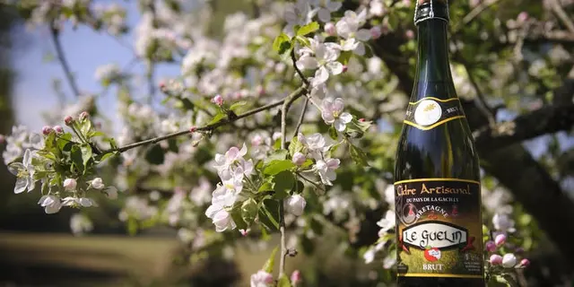Cidre-Ruaudaie-Martin-Oust-Brocéliande