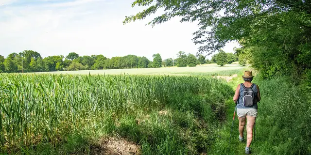 Campagne de Saint-Gonlay