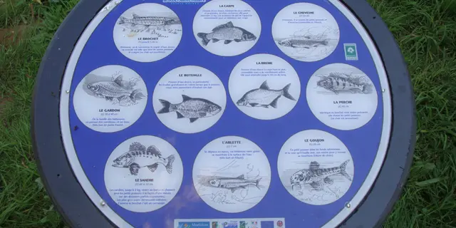 Circuits d'orientation Roc-St-André panneau info poissons d'eau douce