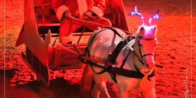 Conte de Noël équestre